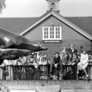 Sealion at London Zoo. 1965 C87B-001