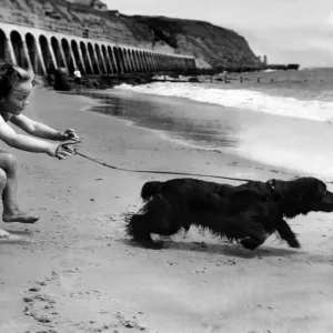 Seaside Holidays / Children with Animals Dog young Judy Early tries to control her Seaside Holidays / Children with Animals Dog young Judy Early tries to control her