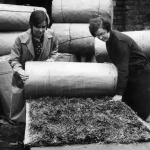 Seaweed used to deaden sound in workshops and public buildings is the latest device to Seaweed used to deaden sound in workshops and public buildings is the latest device to