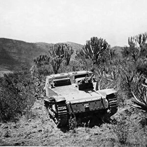 Second Abyssinian War April 1935 A Carro Veloce (CV