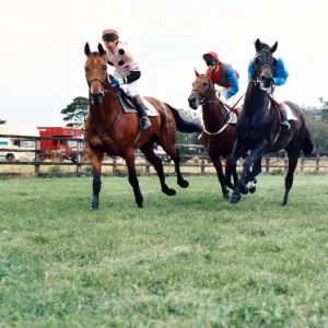 Sedgefield Racecourse is a horse racing course located south of the city of Durham Sedgefield Racecourse is a horse racing course located south of the city of Durham