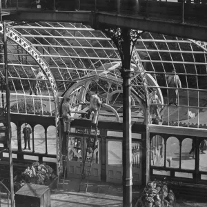 La Palm House di Sefton Park, Liverpool, 15 maggio 1951. I lavori di ristrutturazione sono in corso prima dell'evento del 1951.