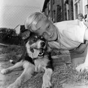 Seven-year-old Peter Whybrow, of Shaw, with Lucky the dog, who was abandoned Seven-year-old Peter Whybrow, of Shaw, with Lucky the dog, who was abandoned