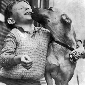 Seven-year-old William Fraser of Colne and "Lady"the dog who saved his life