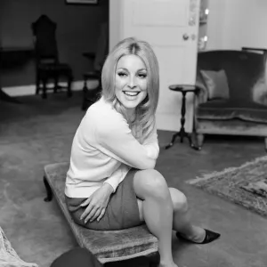 Sharon Tate, Actress and Model, aged 22 years old, pictured at her apartment in Belgravia Sharon Tate, Actress and Model, aged 22 years old, pictured at her apartment in Belgravia