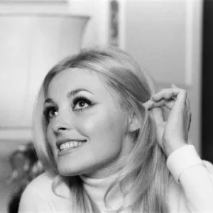Sharon Tate, Actress and Model, aged 22 years old, pictured at her apartment in Belgravia Sharon Tate, Actress and Model, aged 22 years old, pictured at her apartment in Belgravia