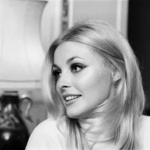Sharon Tate, Actress and Model, aged 22 years old, pictured at her apartment in Belgravia Sharon Tate, Actress and Model, aged 22 years old, pictured at her apartment in Belgravia