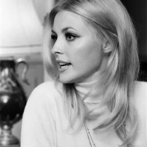 Sharon Tate, Actress and Model, aged 22 years old, pictured at her apartment in Belgravia Sharon Tate, Actress and Model, aged 22 years old, pictured at her apartment in Belgravia