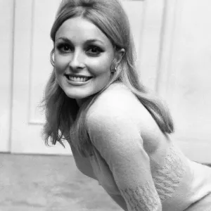 Sharon Tate, American actress, Friday 17th September 1965 Sharon Tate, American actress, Friday 17th September 1965