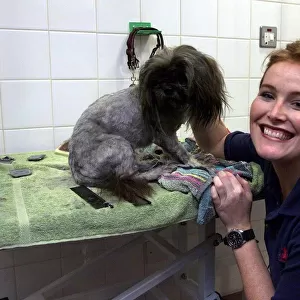Shauna Lowry TV Presenter October 1999 giving Stimpy the dog a bath at Battersea