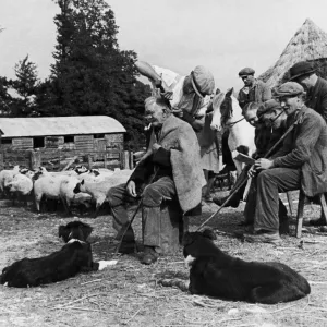Shepherd Hairdresser in Shropshire, 1943 Print Shepherd Hairdresser in Shropshire, 1943 Print