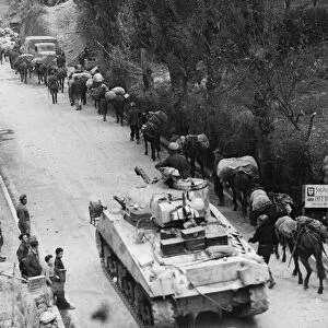 Sherman tank overtakes Italian Pack Mule company moving up through Legare Italy