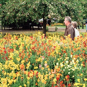 Shipston-on-Stour, Warwickshire, prepares for Britain in Bloom. 18th May 1995