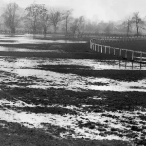 Waterlogged Shirley Park Race Course Print, 9th April 1951