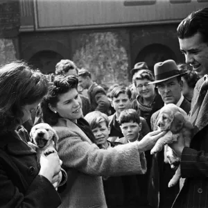 Shoppers visit at a pet market in Bethnal Green, East London. 20th May 1946 Shoppers visit at a pet market in Bethnal Green, East London. 20th May 1946