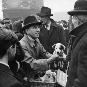 Shoreditch open air livestock market 12th December 1944 The pavement market for Shoreditch open air livestock market 12th December 1944 The pavement market for