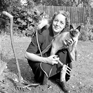 Siamese cats with their owners. 1954 A120-007