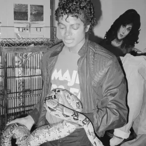 Michael Jackson with Muscles the boa constrictor, Print Michael Jackson with Muscles the boa constrictor, Print