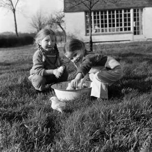 Sisters Mary (left) and Ann Weller playing with baby chicks at Downley Hill Farm