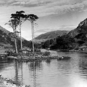 One of the small tree covered island on Loch Eilt Circa 1950 One of the small tree covered island on Loch Eilt Circa 1950