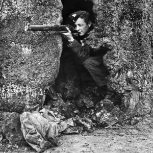 A sniper taking aim from a natural hideout in the hollow trunk of a tree during rifle