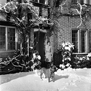 Snow on fruit trees in a Tadworth garden. April 1950 O23770