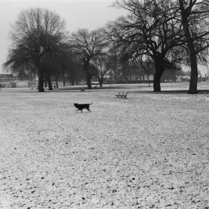 Snow scenes in Berkshire. December 1979 Snow scenes in Berkshire. December 1979