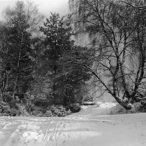 Snow scenes at Claygate. January 1940 L151