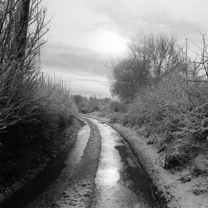 Snow Scenes at Sonning Print, December 1981 Snow Scenes at Sonning Print, December 1981