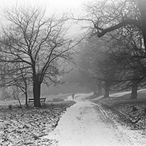 A snowy scene in Regents Park London. 21st January 1942