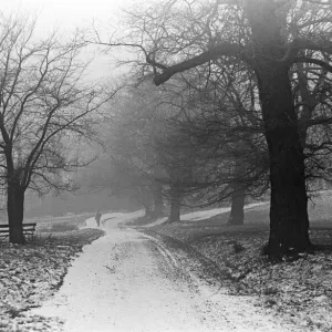 Regents Park London Print, 21st January 1942