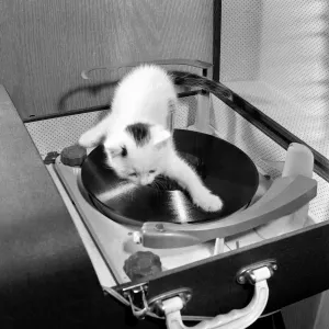 Vintage Print: Snowy the Kitten Mixes Music, June 1962