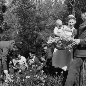 WWII Print: Soldiers Aid a Nurse in Hospital Gardens near London WWII Print: Soldiers Aid a Nurse in Hospital Gardens near London