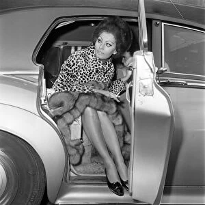 Sophia Loren arriving at London Airport. 15th January 1966