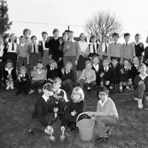 South Crosland CE Junior School Netherton plating bulbs on the corner of Moor Lane