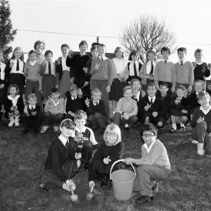 South Crosland CE Junior School Netherton plating bulbs on the corner of Moor Lane