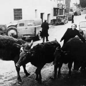 South Hams Evacuation. On the November the 4th Devon County Council were informed South Hams Evacuation. On the November the 4th Devon County Council were informed