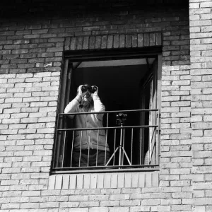 A spectator watching Princess Diana visiting the Boyd Court Guinness Trust Housing Estate