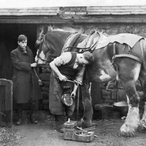 Spiked shoes, to prevent slipping on frozen roads, being fitted at a Blaydon smithy