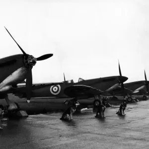 Twelve Spitfire fighter planes lined up on the air strip at North Weald