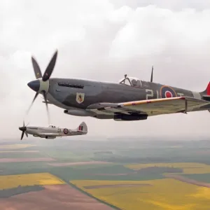 Un Spitfire Mk IXe (ML417) volando en formación con un Spitfire de caza del tipo Mk XIV.