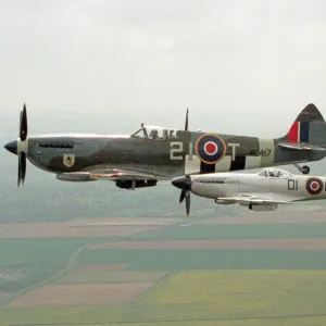 A Spitfire Mk IXe (ML417) flying in formation with a Mk XIV Spitfire of the Fighter A Spitfire Mk IXe (ML417) flying in formation with a Mk XIV Spitfire of the Fighter