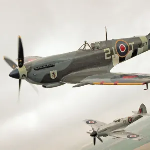 A Spitfire Mk IXe (ML417) flying in formation with a Mk XIV Spitfire of the Fighter A Spitfire Mk IXe (ML417) flying in formation with a Mk XIV Spitfire of the Fighter