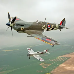 A Spitfire Mk IXe (ML417) flying in formation with a Mk XIV Spitfire of the Fighter A Spitfire Mk IXe (ML417) flying in formation with a Mk XIV Spitfire of the Fighter