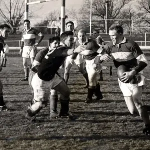 Sport - Rugby - League - M McNally, the Cardiff Rugby League second-row forward Sport - Rugby - League - M McNally, the Cardiff Rugby League second-row forward