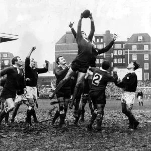 Rugby Print: Wales v Scotland 1966 - Brian Price in Action Rugby Print: Wales v Scotland 1966 - Brian Price in Action