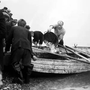 Spratts at Hastings Print, East Sussex, 1953