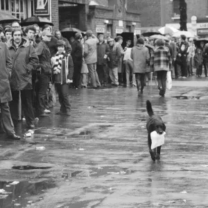 Spurs fans queue for tickets to the Cup Final replay against Manchester City Spurs fans queue for tickets to the Cup Final replay against Manchester City