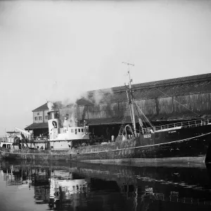 St Andrews Steam Fishing Co Ltd Trawler Print, Hull 1959 St Andrews Steam Fishing Co Ltd Trawler Print, Hull 1959