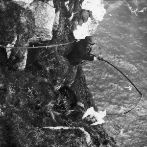 A St Kildan fowling on the cliffs of Hirta the main Island in the St Kilda archipelago A St Kildan fowling on the cliffs of Hirta the main Island in the St Kilda archipelago